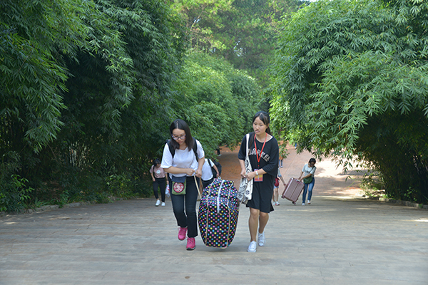 迎新季：信阳学院一派节日景象