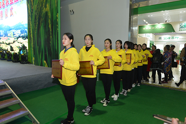 我校师生积极参与第27届信阳茶文化节系列活动