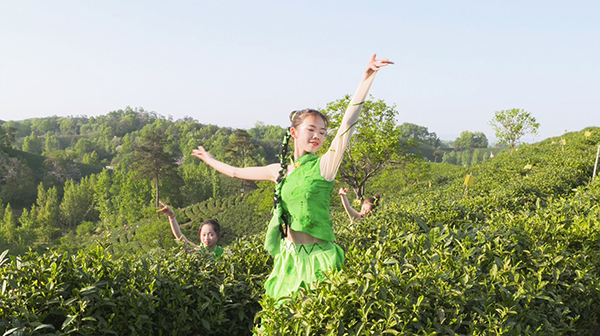 我校师生积极参与第27届信阳茶文化节系列活动